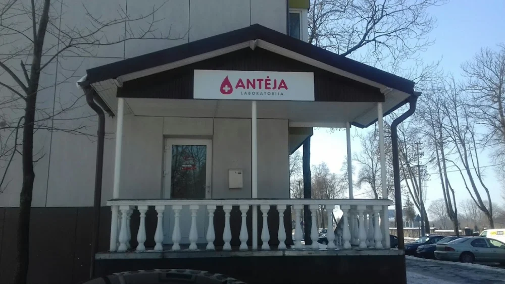 Antėja