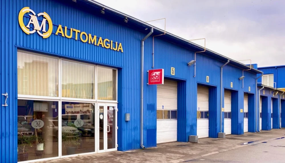 Automagija