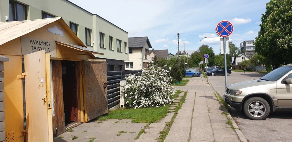 Avalynės taisykla