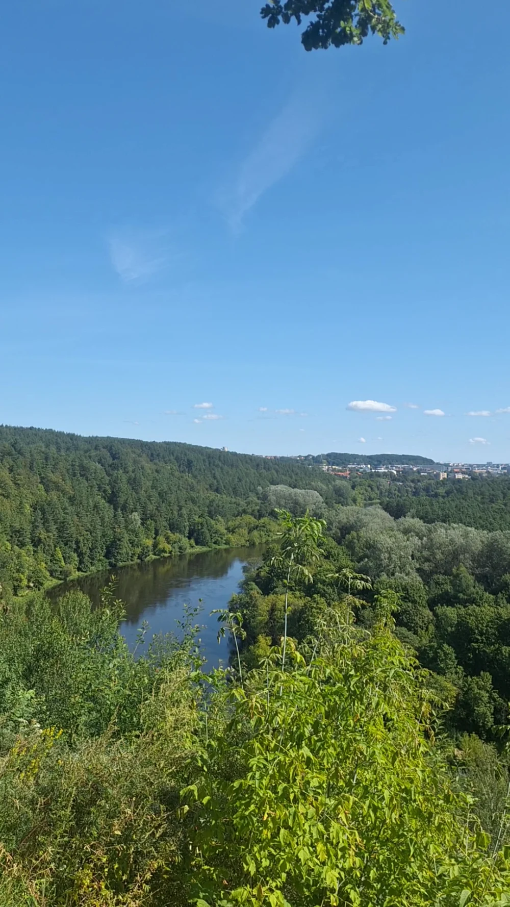 Karoliniškių kraštovaizdžio draustinis - 3