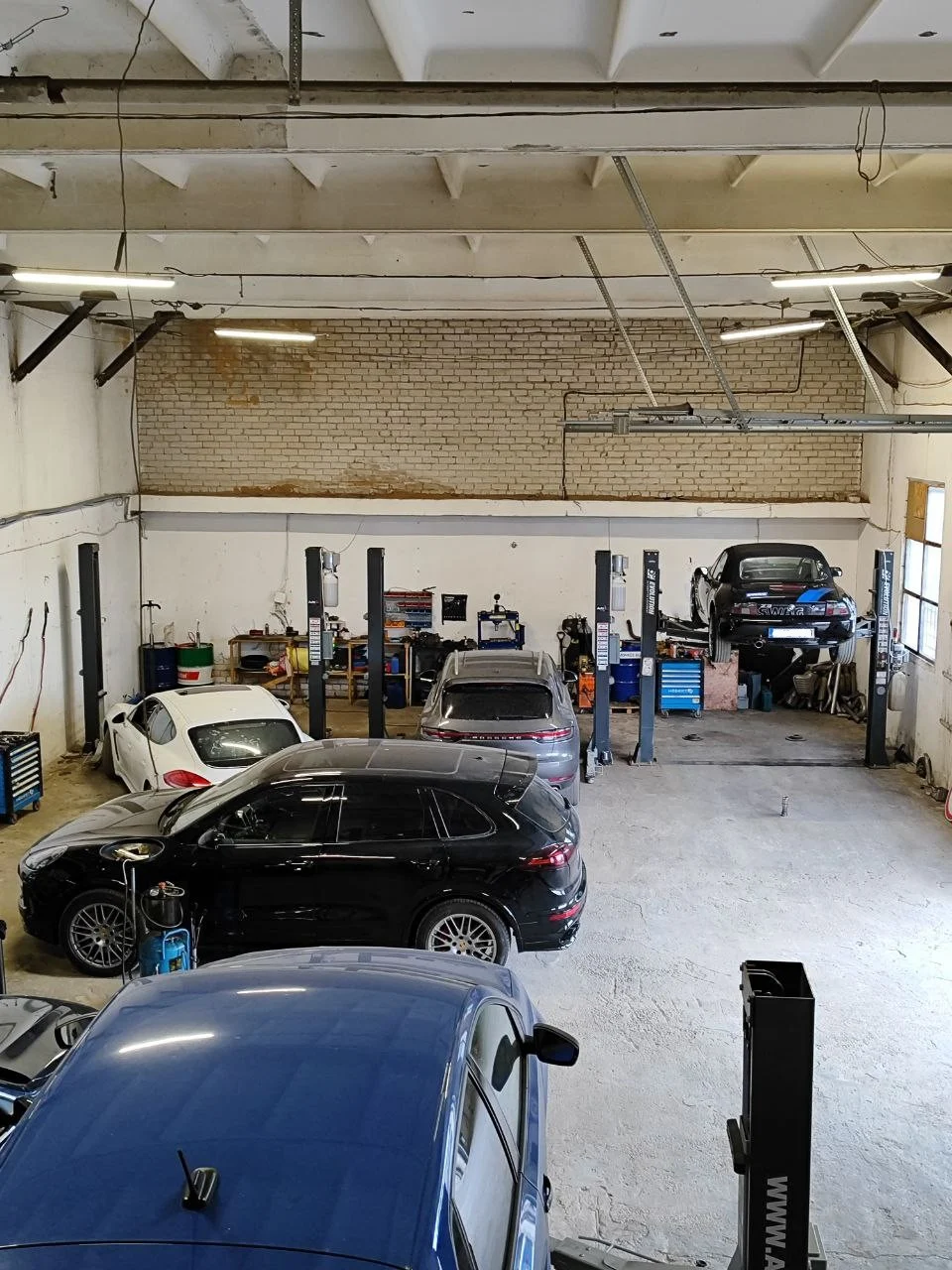 Monkės biznis - Autoservisas - 2