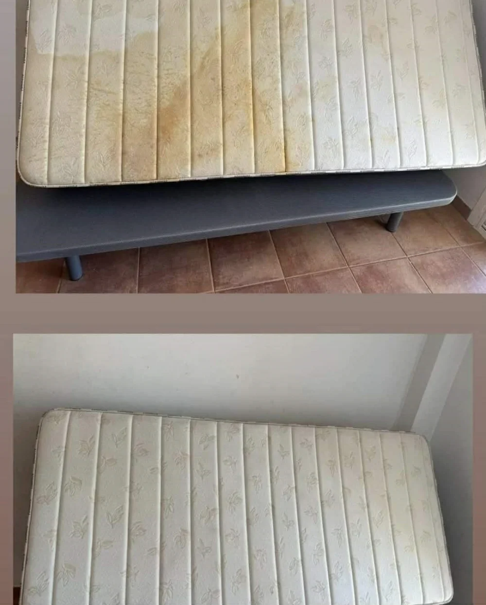 Redos Švara