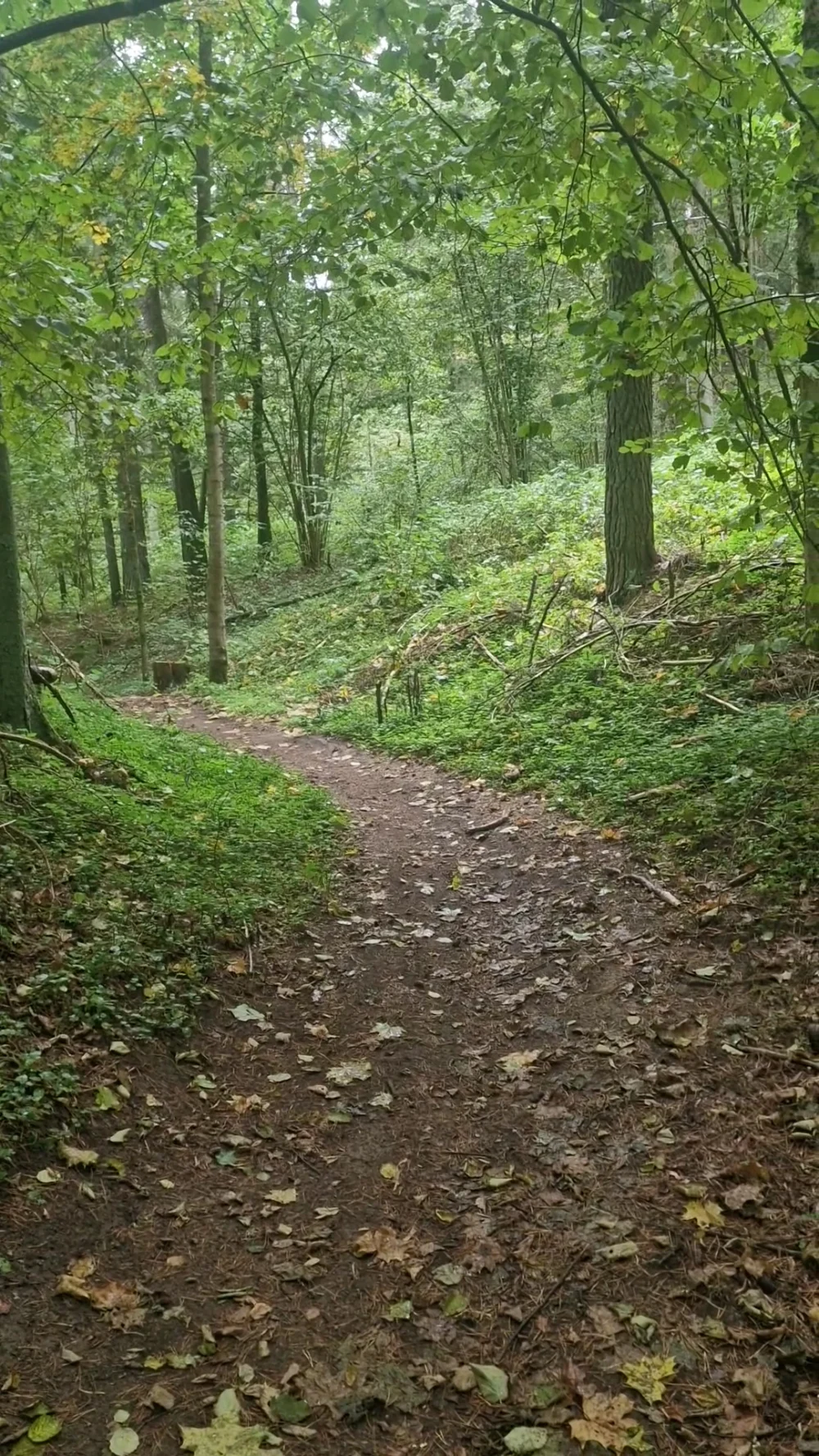 Saulės slėnis - 3