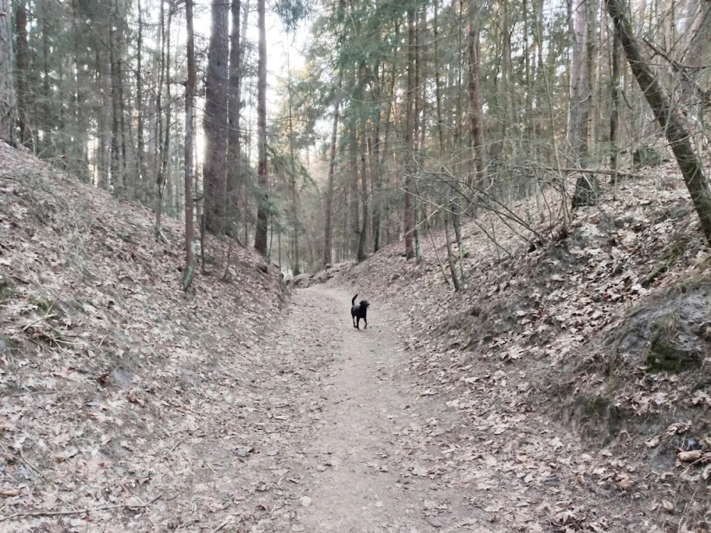 Saulės slėnis - 4