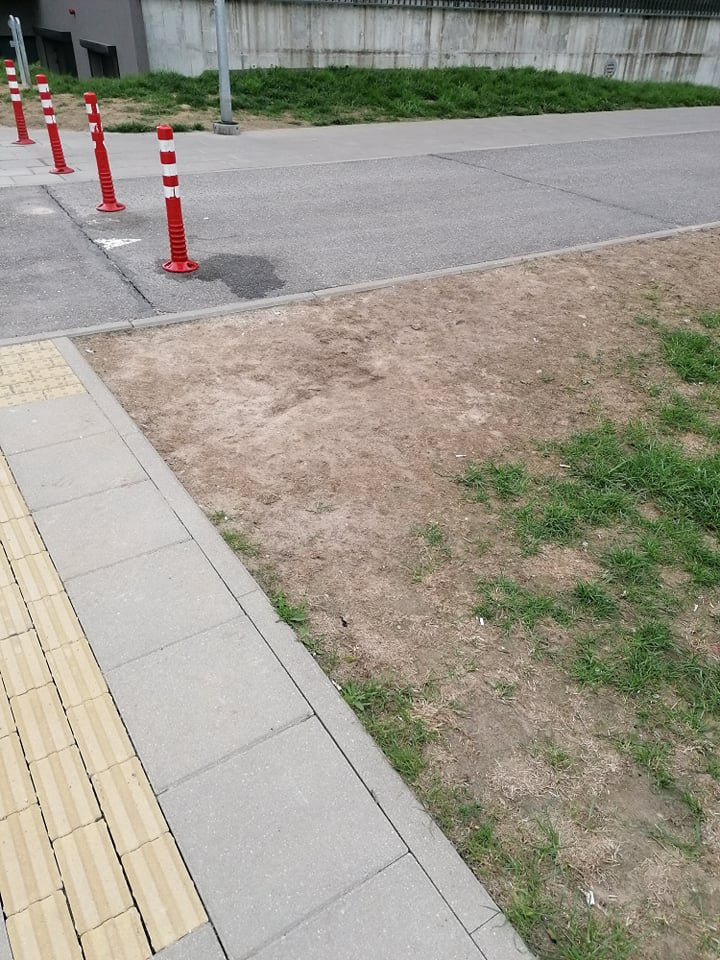 Stebulė, UAB
